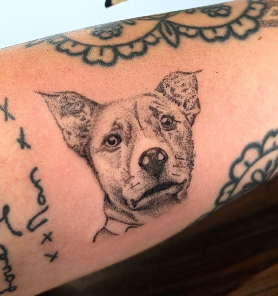 PXL_20250820_163733478.MP~2 Black and grey dog portrait tattoo by Leanne at Kimmer Ink Tattoo Studio in Eastleigh, Hampshire.