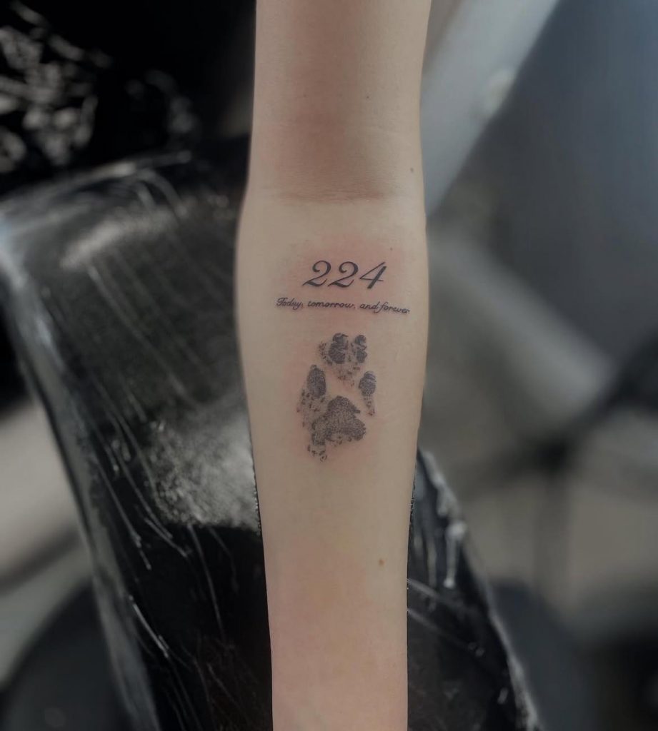 1ed33a79-c68d-48ae-819c-756cce4fa509 Minimalist paw print tattoo with the number 224 by Loren at Kimmer Ink Tattoo Studio in Eastleigh, Hampshire.